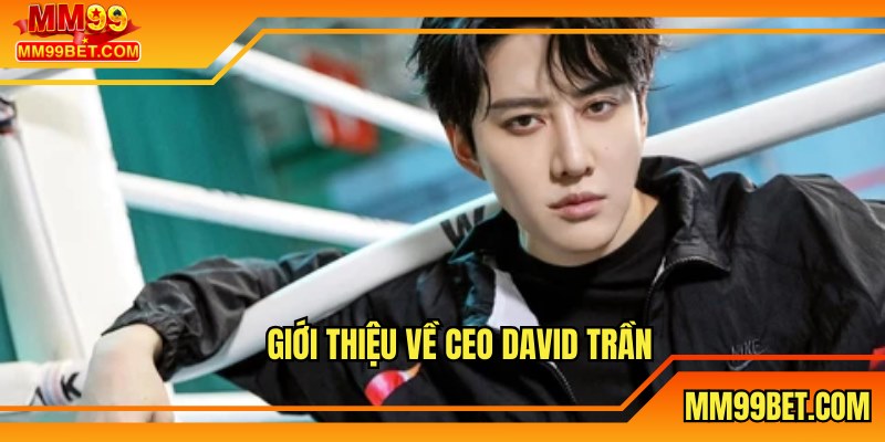 Giới thiệu về CEO David Trần