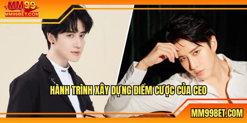 Hành trình phát triển web cược của David Trần