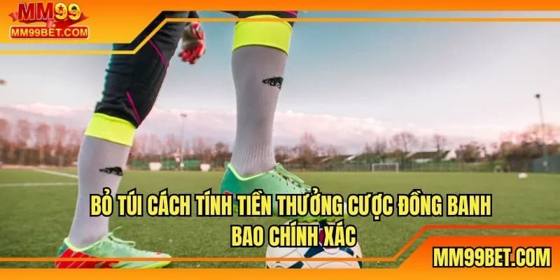 Bỏ túi cách tính tiền thưởng cược đồng banh bao chính xác
