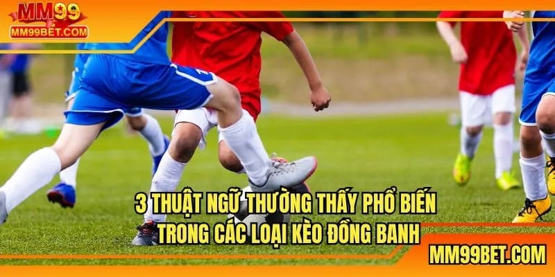 Thuật ngữ thường thấy phổ biến trong các loại kèo đồng banh