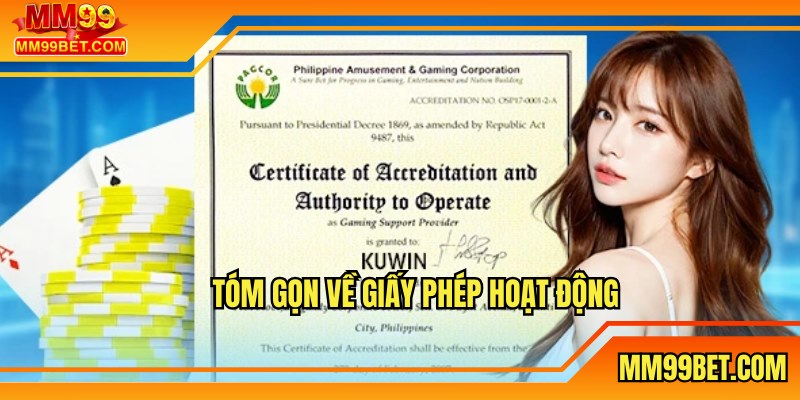 Tóm gọn về giấy phép hoạt động